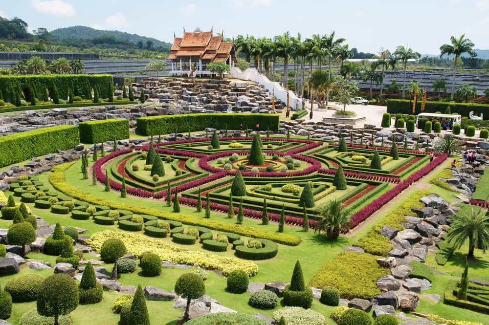 Explore Nong Nooch Botanical Gardens