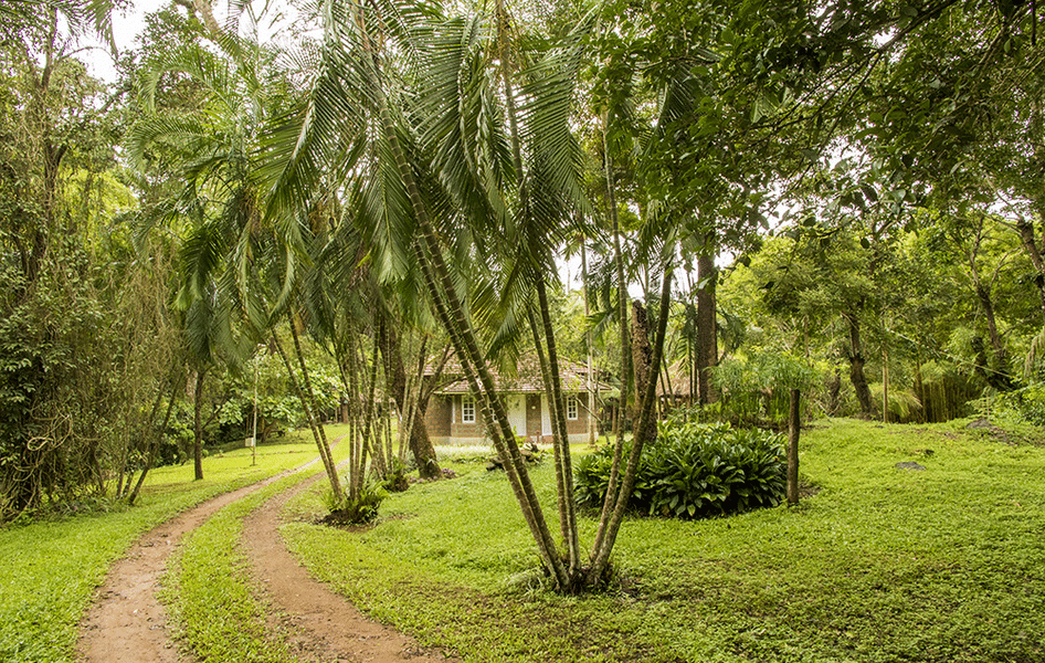 A Rustic Homestay Amidst Lush Greens In Coorg Image