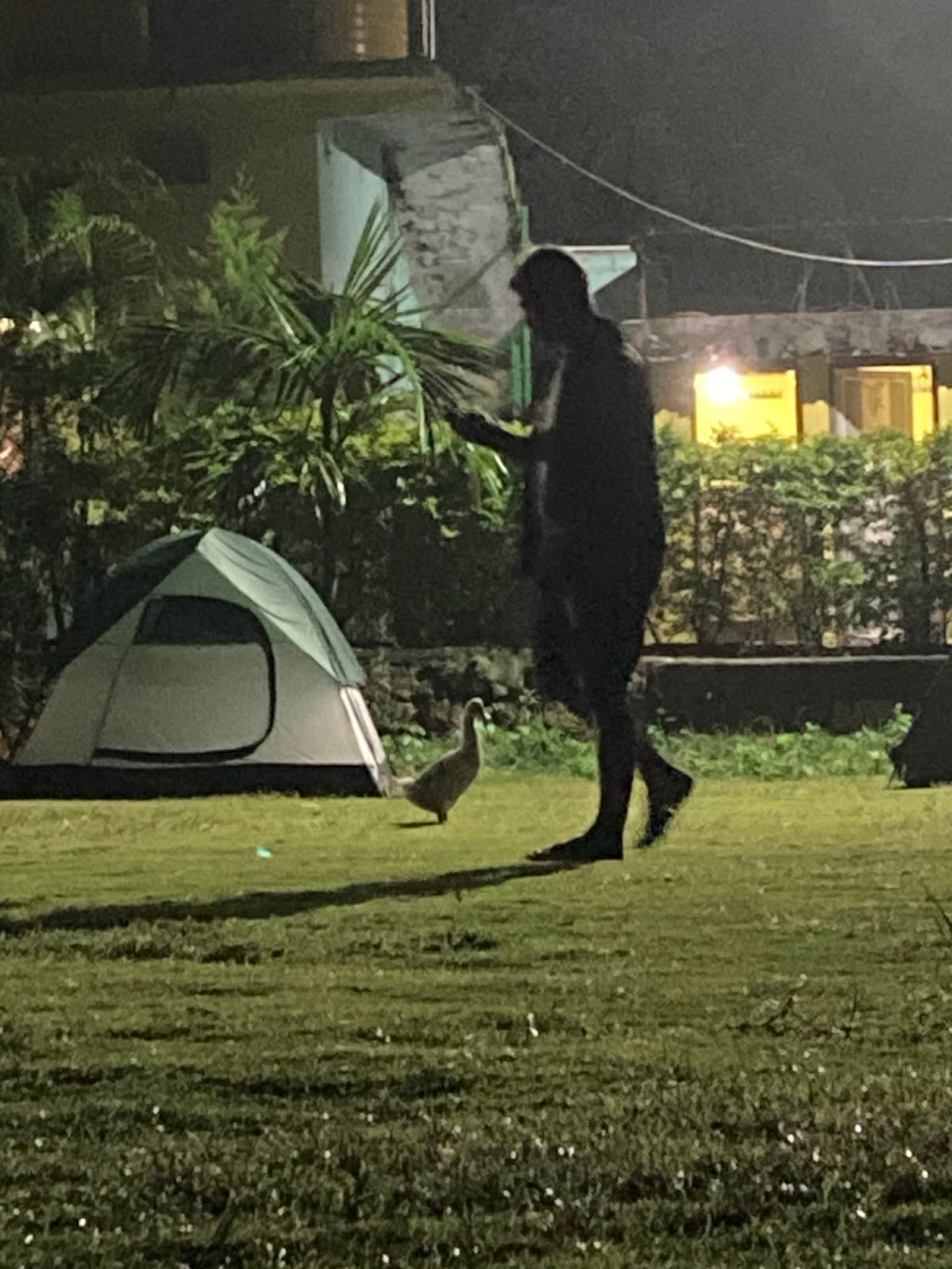 Photo from Siddharth Gangwar's trip