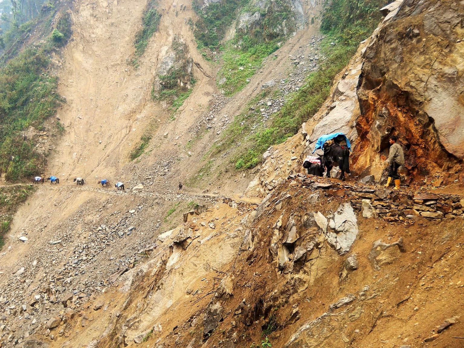 Photo from Dayaanidhi Devar's trip
