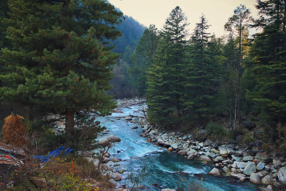 Sit by the Parvati River