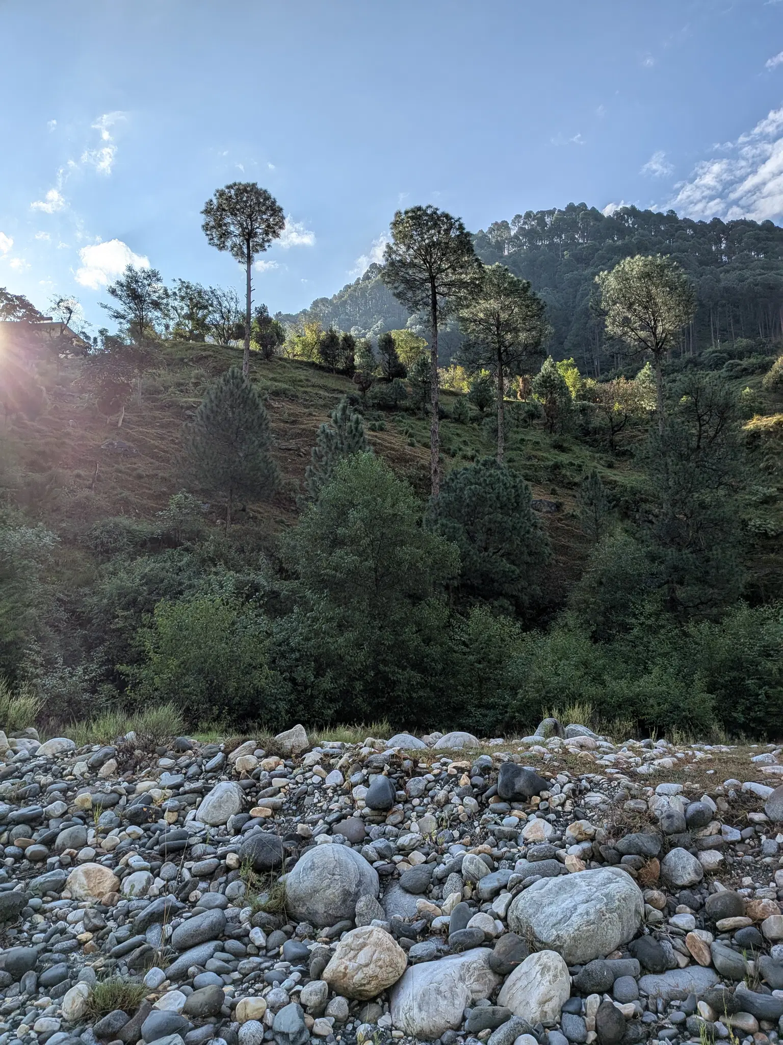 Photo from Ramesh Pallavoor's trip