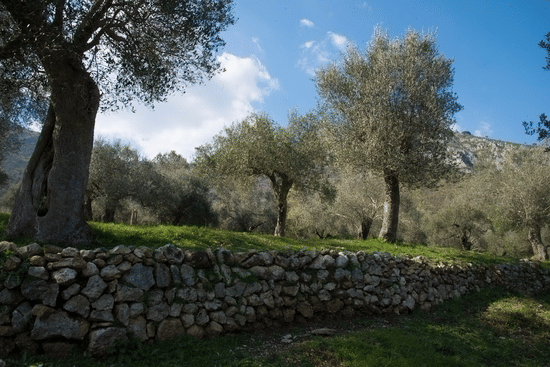 Stop by Parco dell'Olivo
