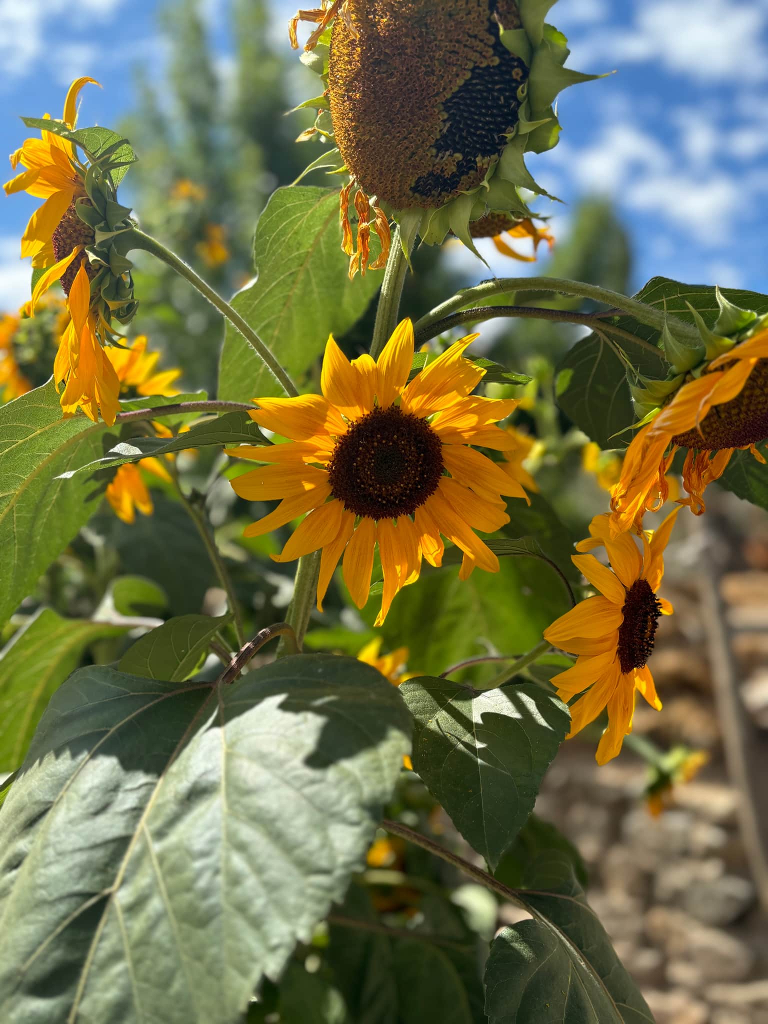 Photo from Iris D'souza's trip