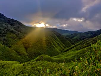 Dzukou Valley Trek, Nagaland