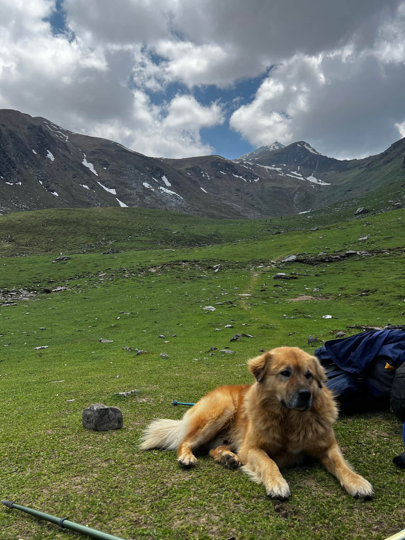 Photo from Raj Manral's trip