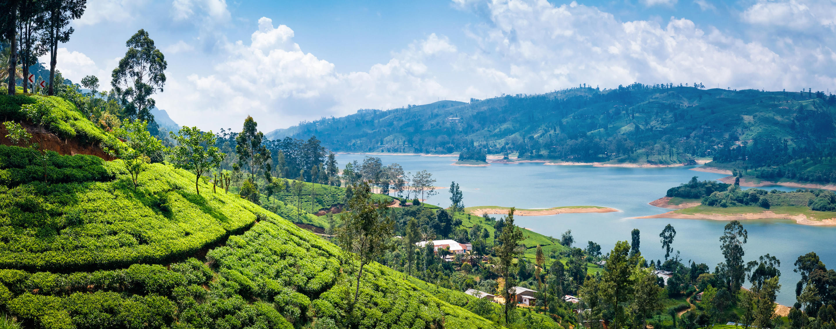 Kandy Tour Packages | Upto 50% Off May Mega SALE