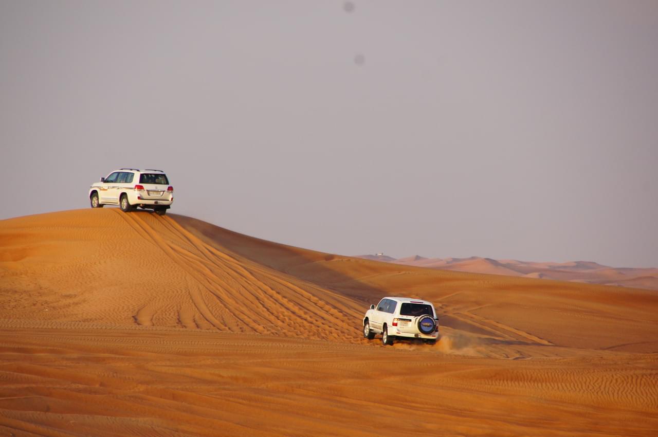 safari-386292.jpg
