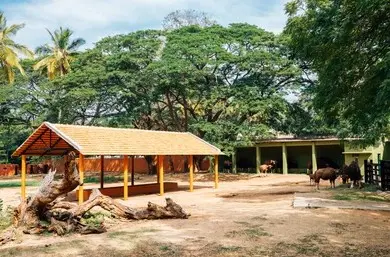 Learn About Wildlife Conservation