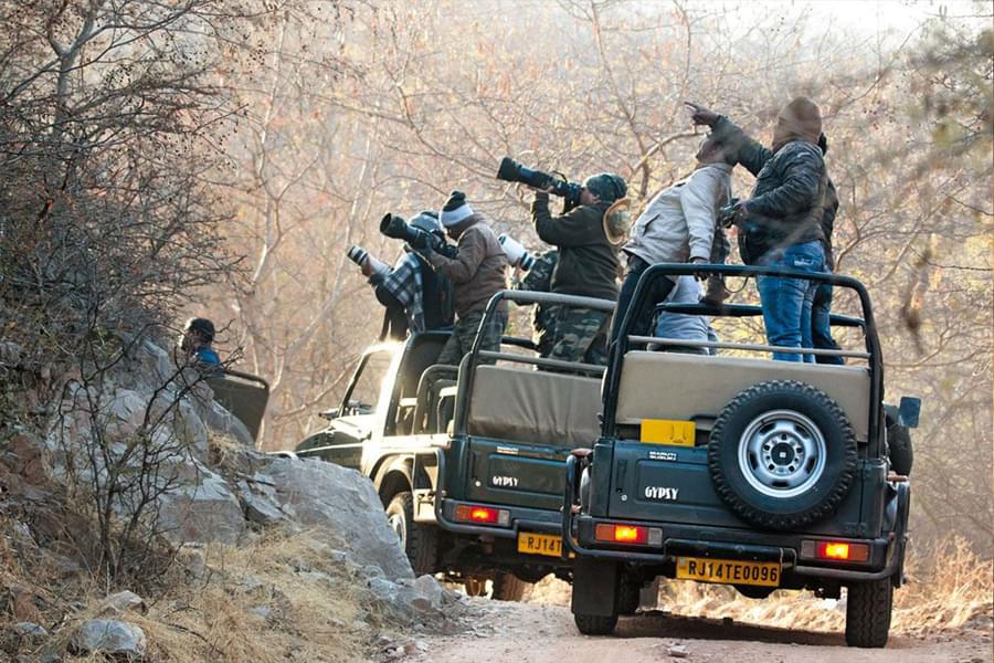 Jawai Leopard Safari​ in Rajasthan Image