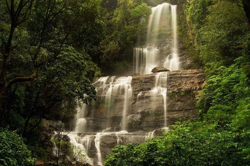 Chikmagalur Tour Package from Bangalore Image