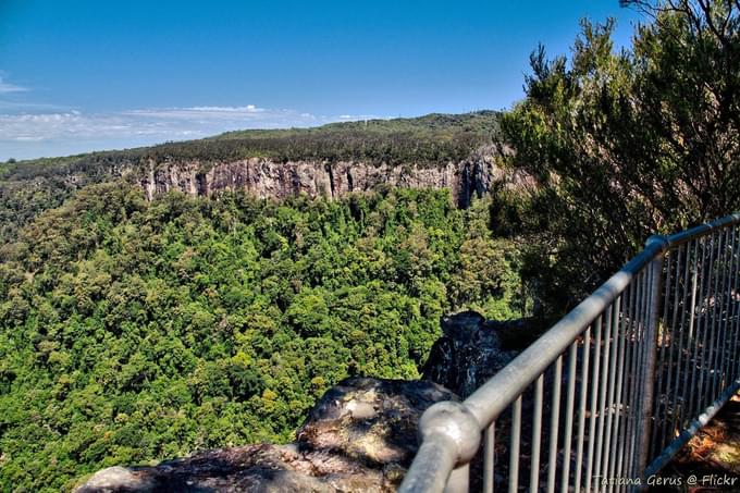 Springbrook National Park