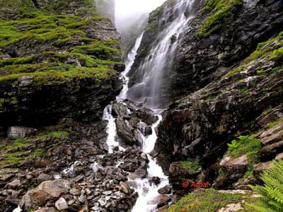 Valley of Flowers Trek Day 2