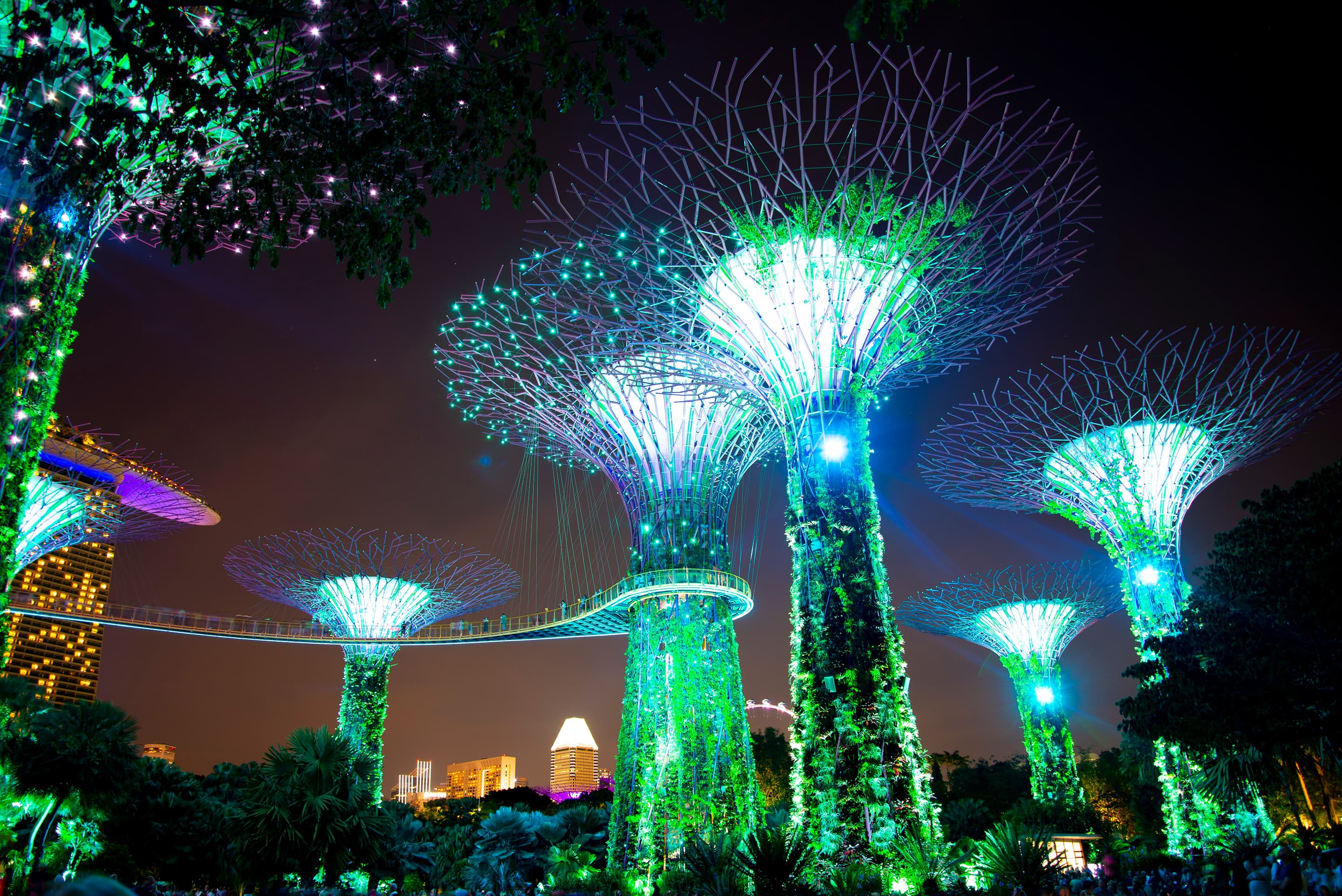 Gardens By The Bay Light Show Garden Rhapsody Singapore How To Gardens By The Bay Light Show Garden Rhapsody Singapore How To