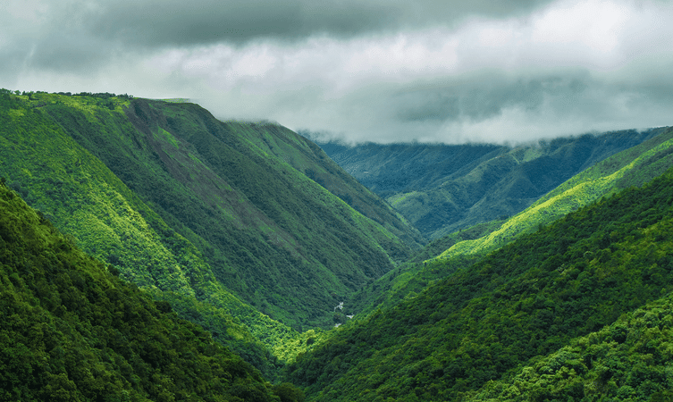 Mawkdok Dympep Valley View Point