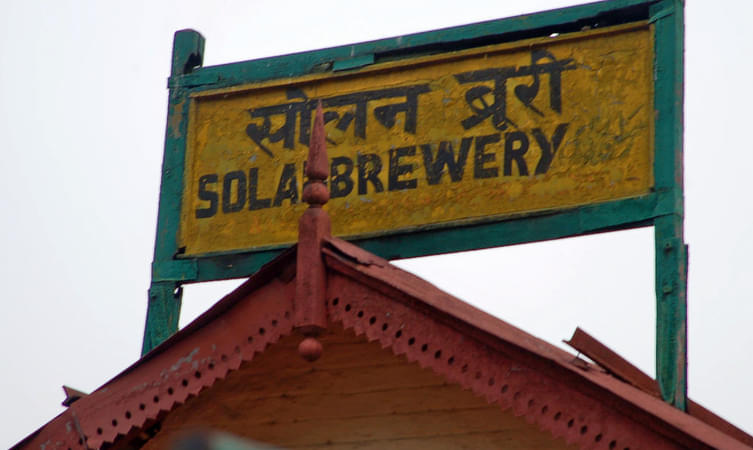 Solan Brewery