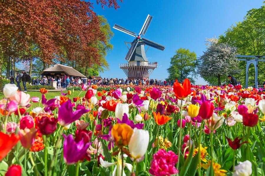 Keukenhof gardens Guided Tour