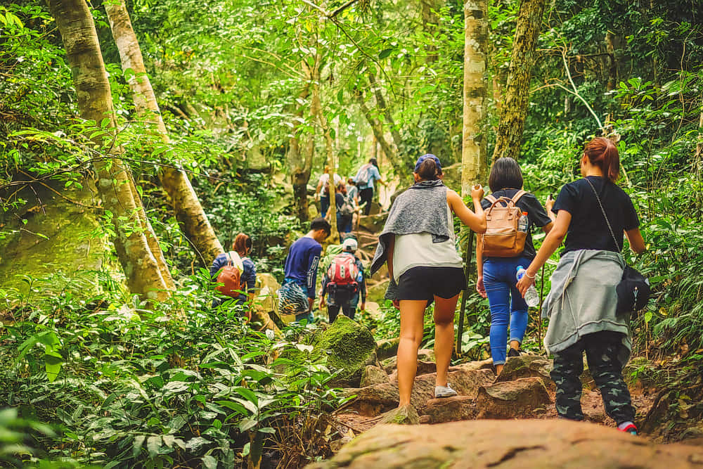 Nature Walk In Thekkady