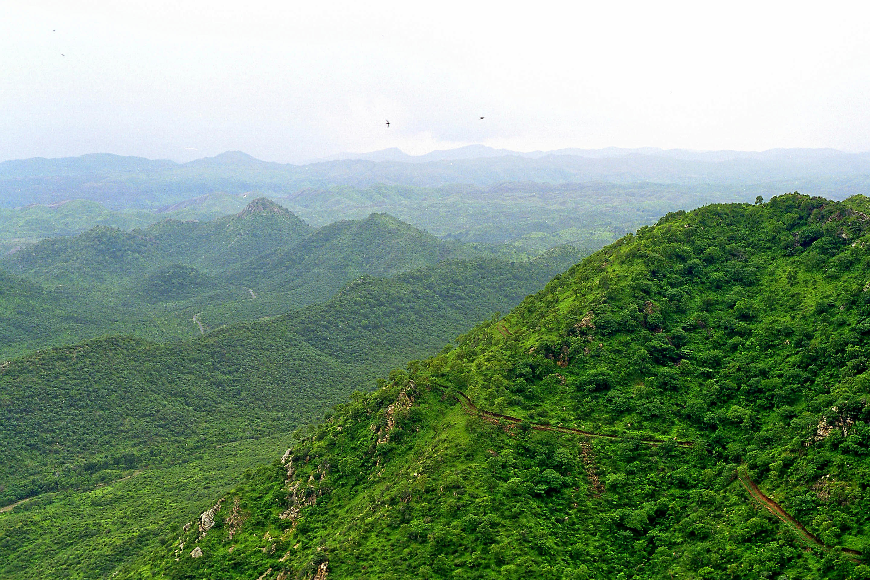 Bhadraj Hill Overview