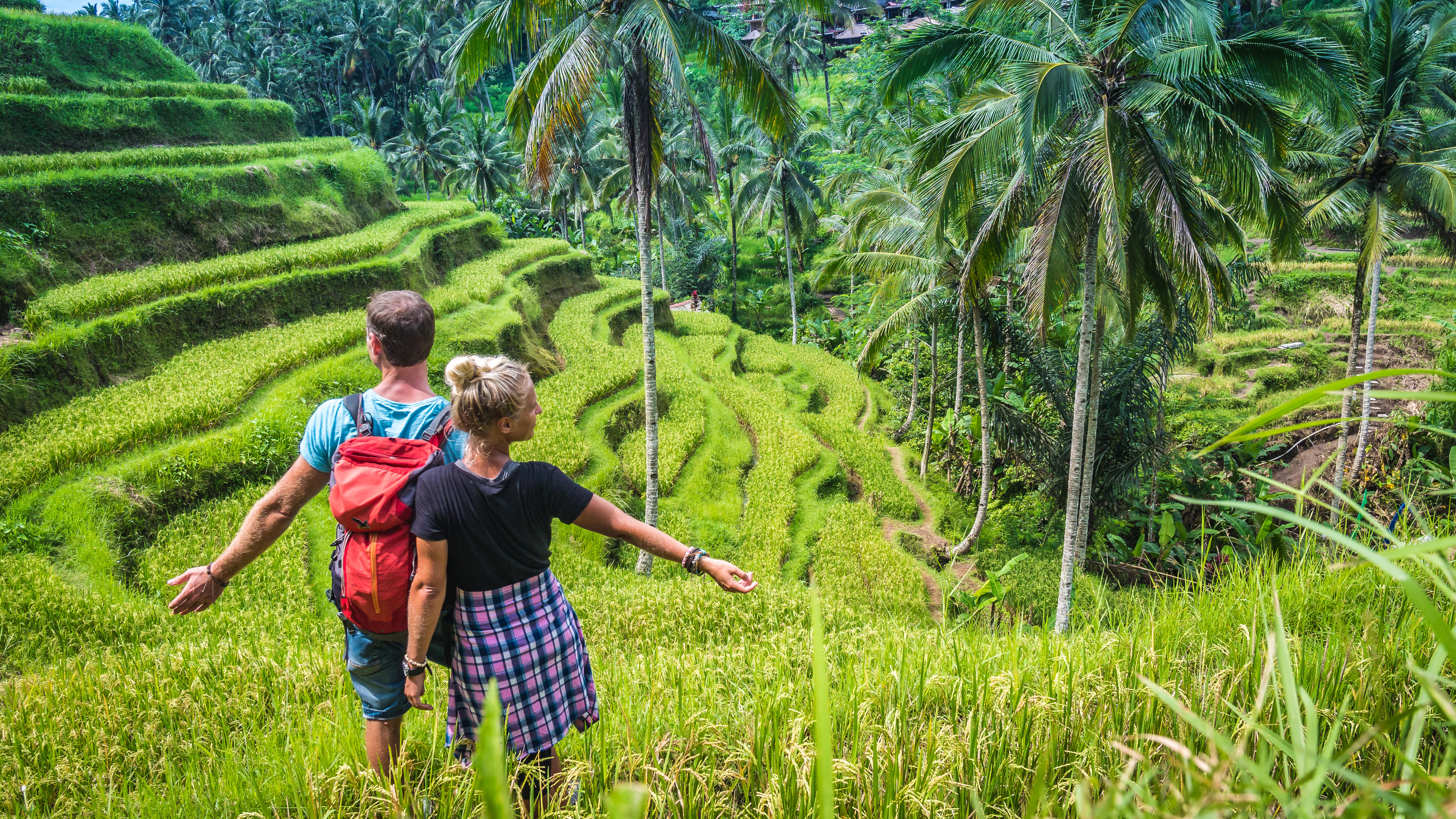 Ubud Tour Packages | Upto 40% Off