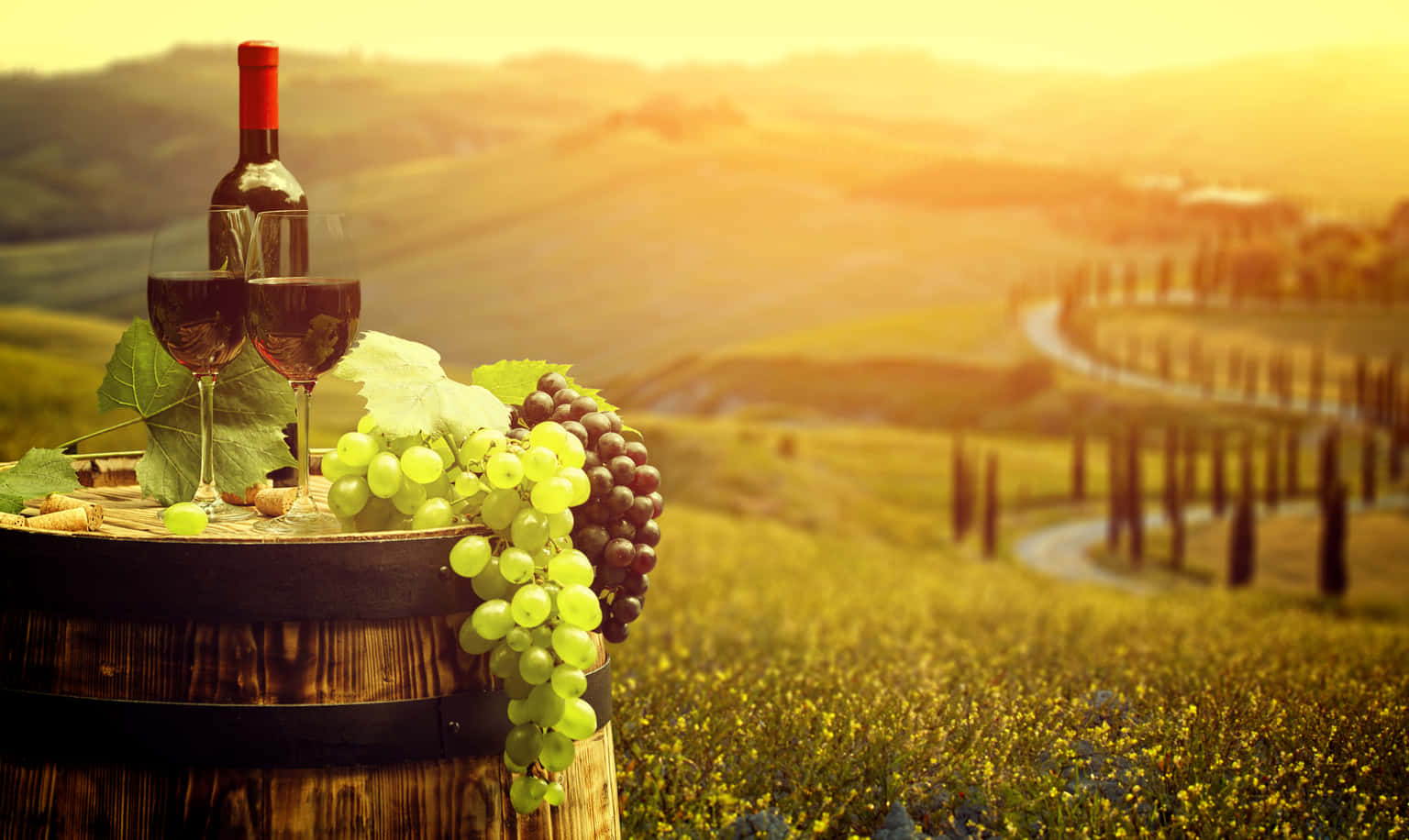 Wine Tour with Lunch at Nandi Hills Bangalore