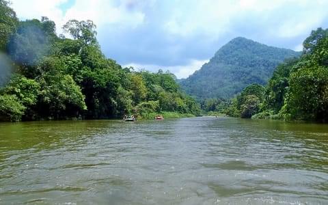 Things to Do in Kitulgala