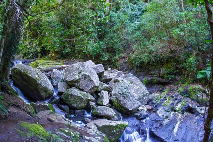 Lamington National Park