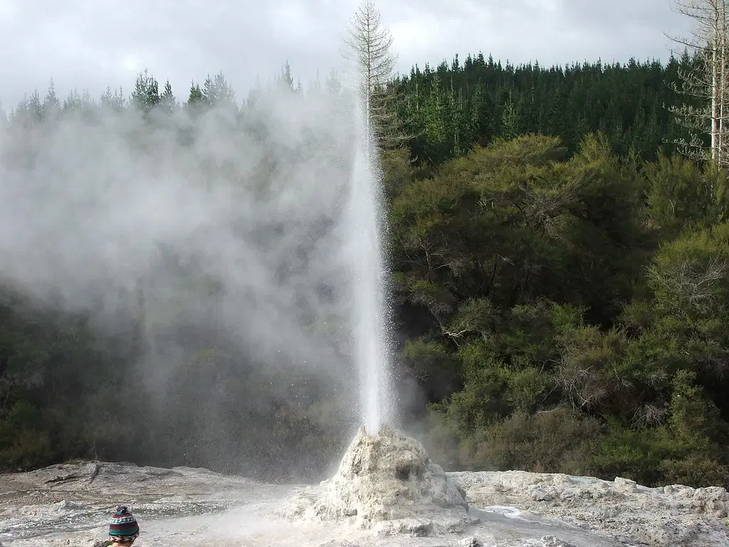 Admire the Lady Knox Geyser