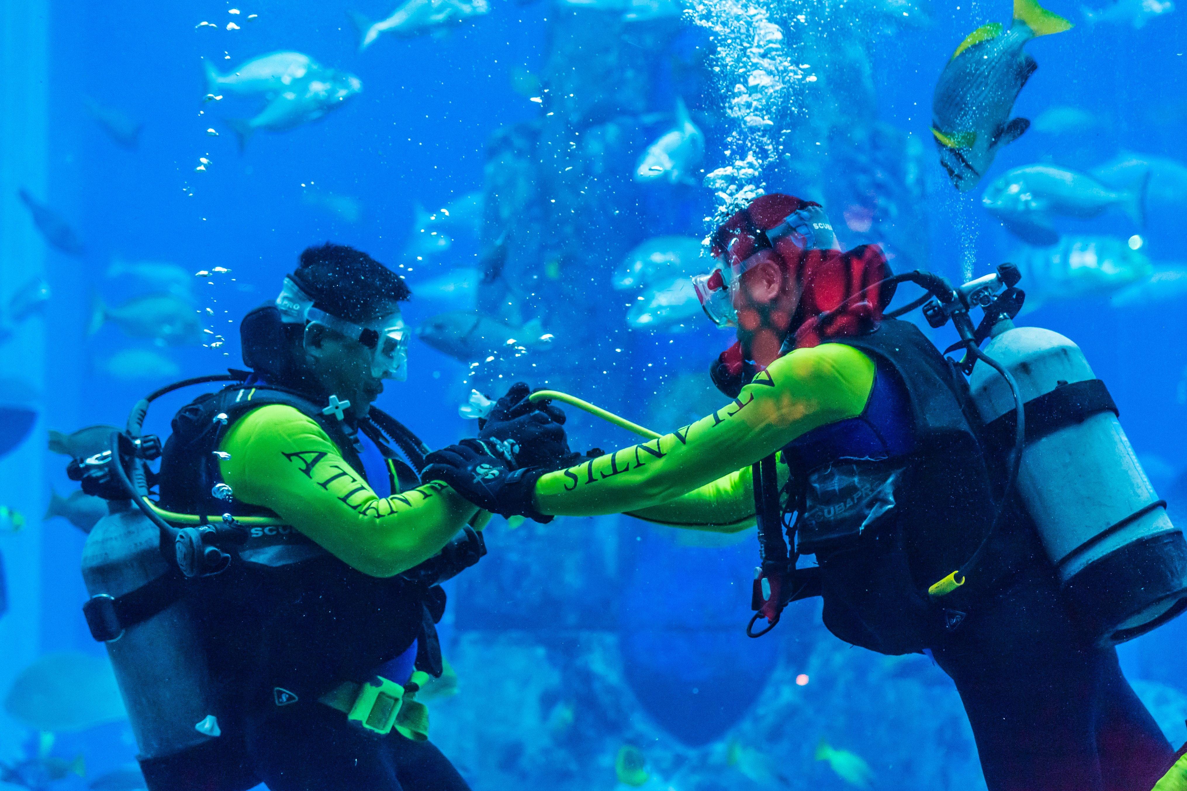 Scuba Diving in Dubai Mall