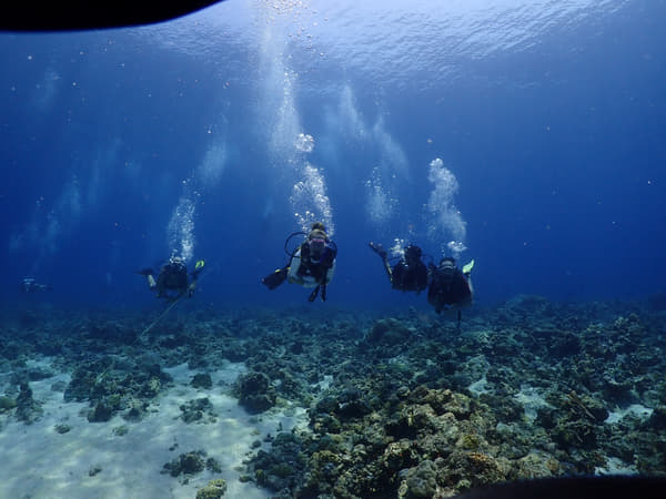Book Scuba Diving and dive into the crystal-clear waters of Kovalam