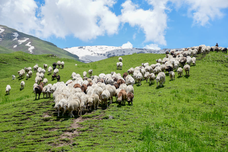 Trek To Bhrigu Lake Image
