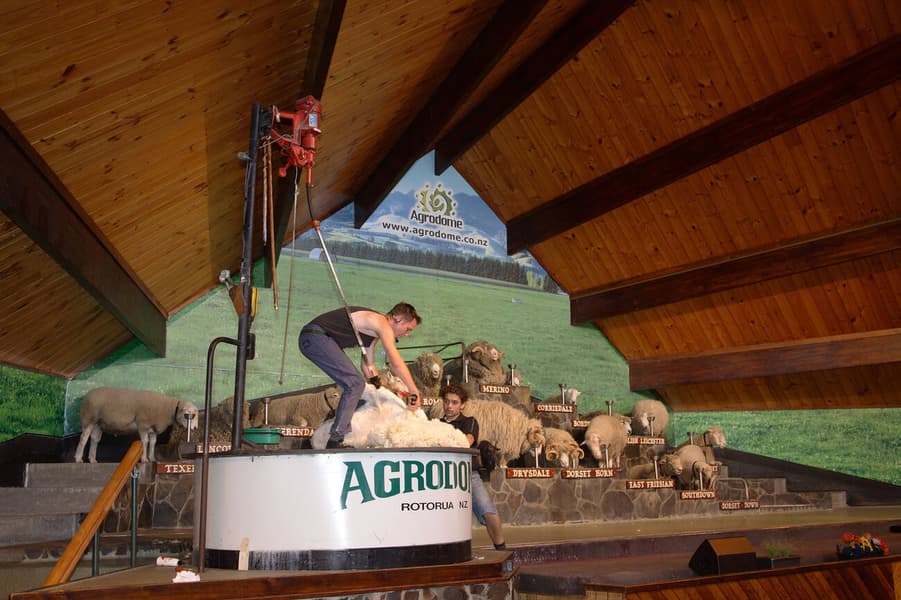 Agrodome Farm Show Tickets, Rotorua Image