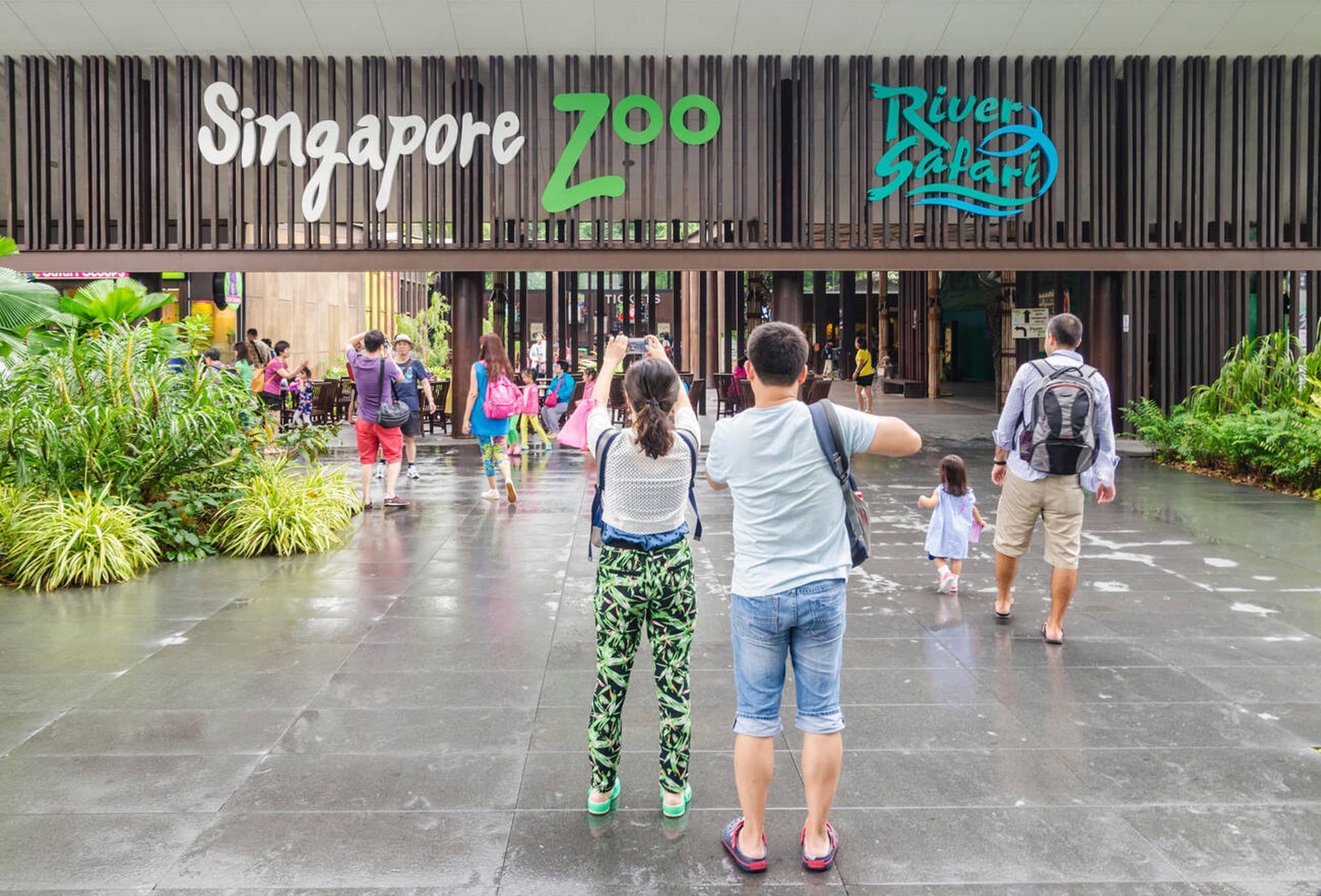 Singapore Zoo