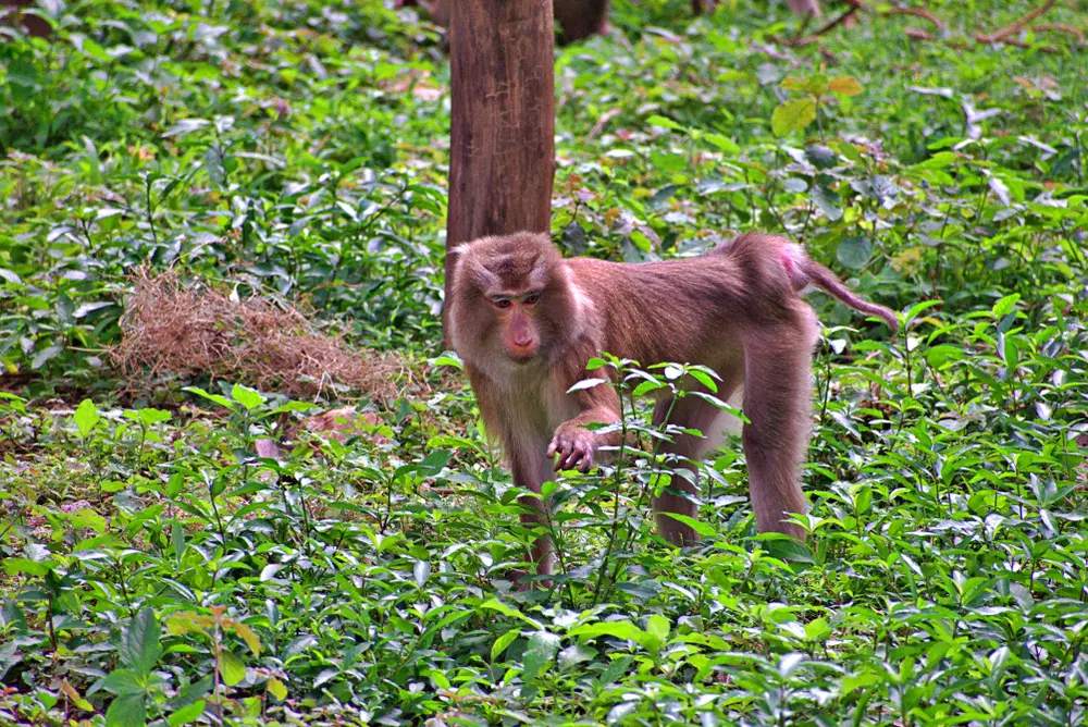 Zoo