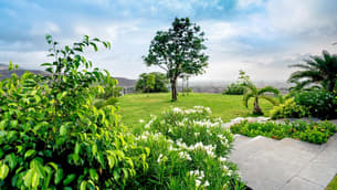 Yxe6j2fsh91zawkxbgzjaikc6h2j 1590137571 221294613