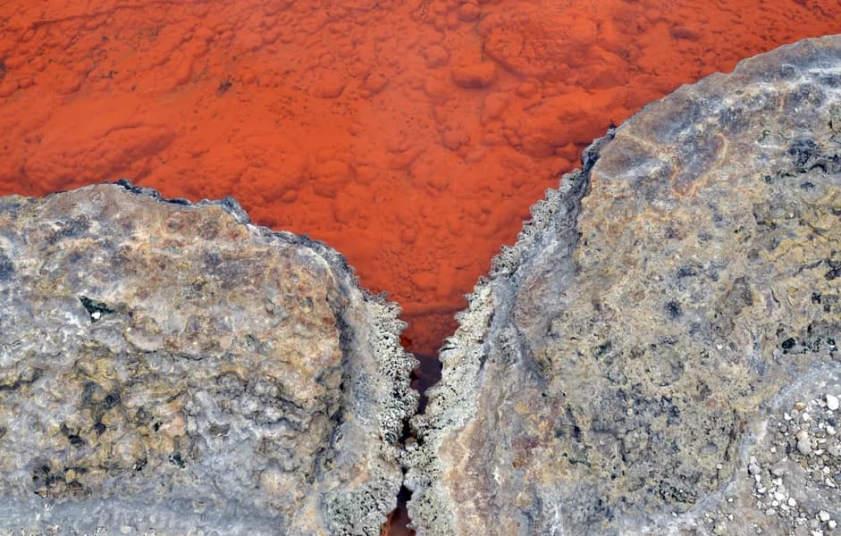 Waiotapu Thermal Wonderland Image