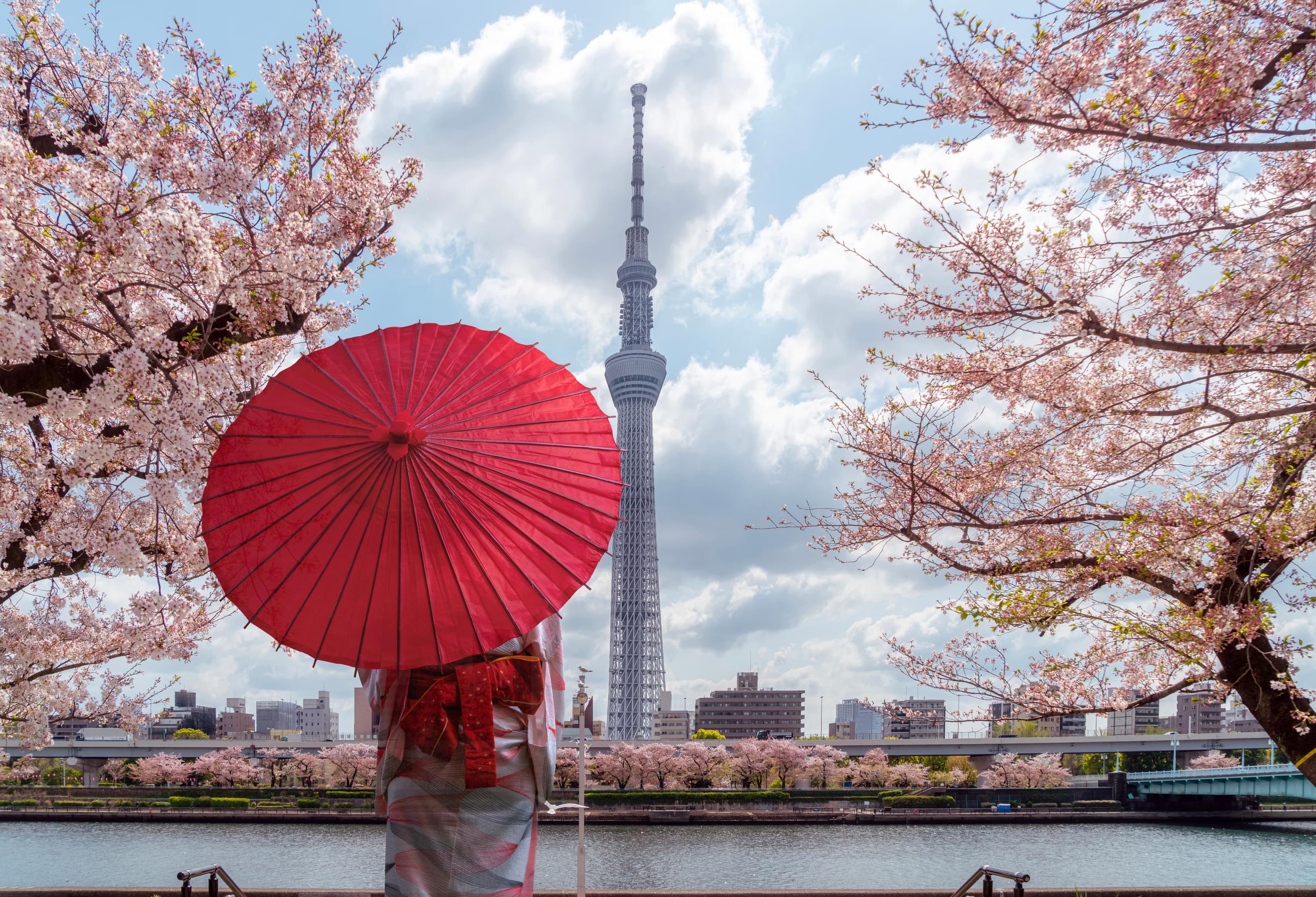 Tokyo Tour Packages | Upto 50% Off April Mega SALE