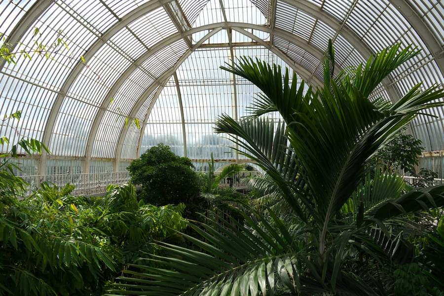 History Of Kew Gardens Palm House