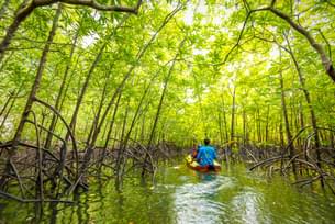 Yxqgohxjo4lk1y6sgbqe397ye4nh shutterstock 2211349993