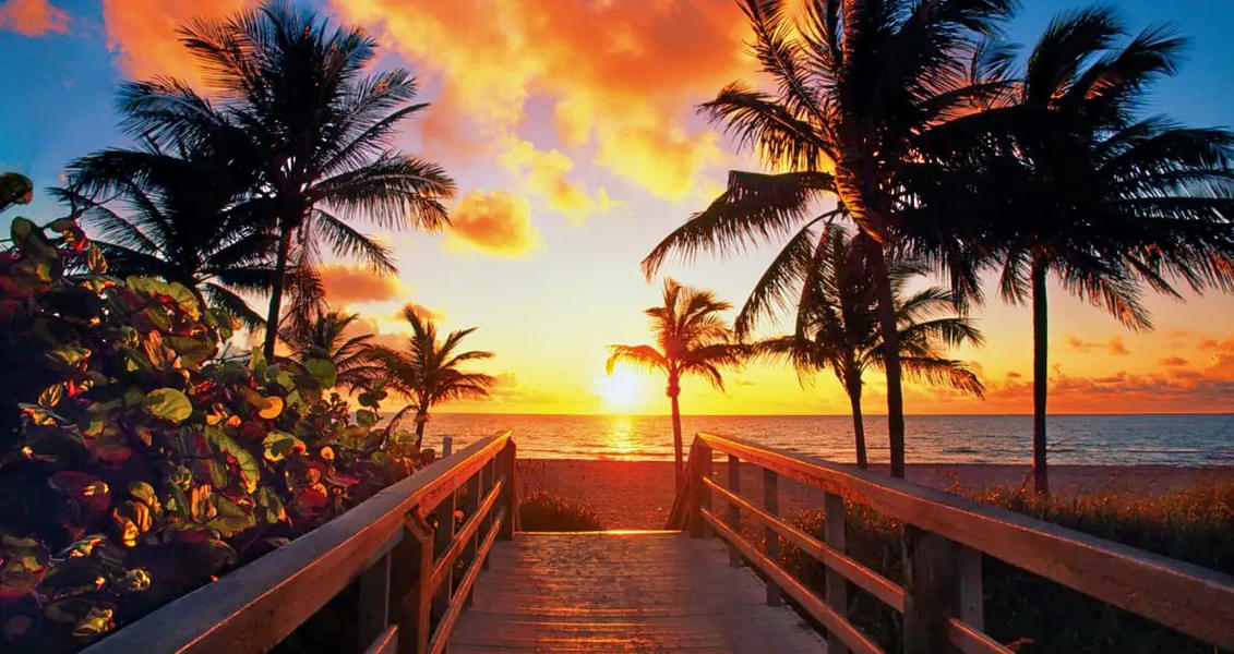 Miami to Key West Snorkeling Tour Image