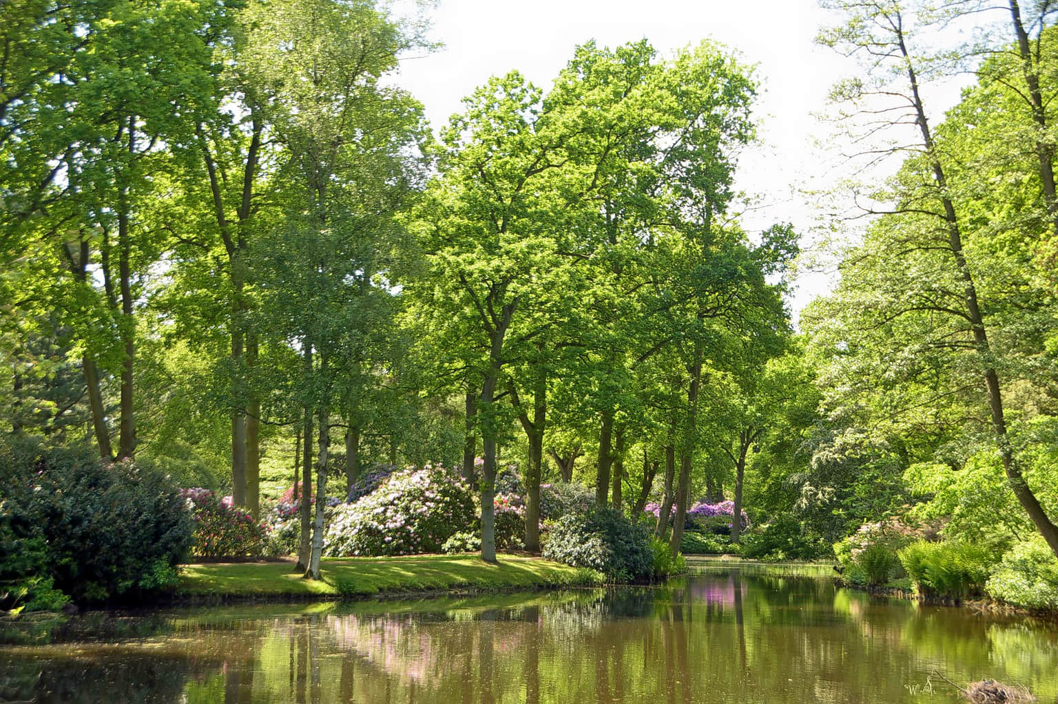 Nehru Park , <em>Delhi</em>