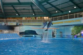 Dolphinarium Nemo