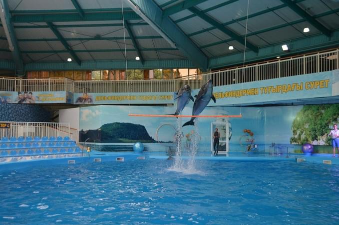 Dolphinarium Nemo