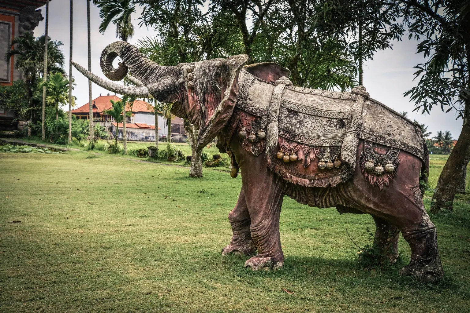 Check out the Elephant Museum