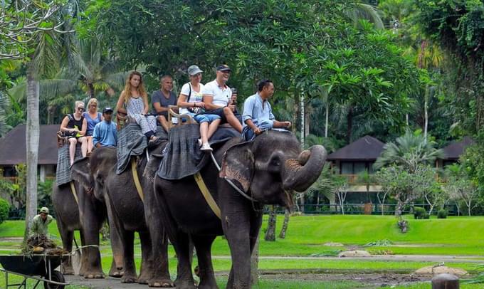 The Bali Safari & Marine Park