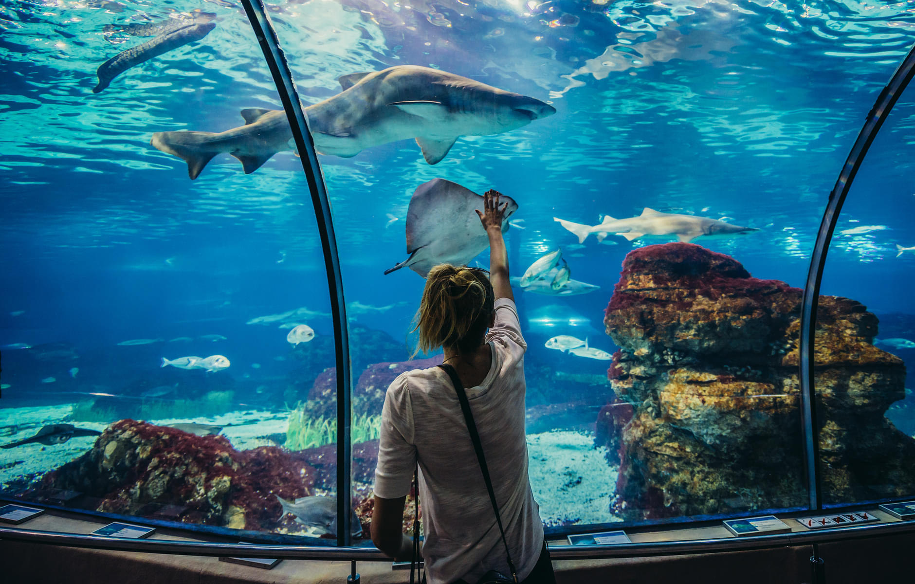 Barcelona Aquarium, Spain