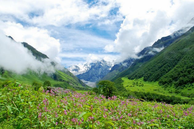 Hemkund And The Valley Of Flowers