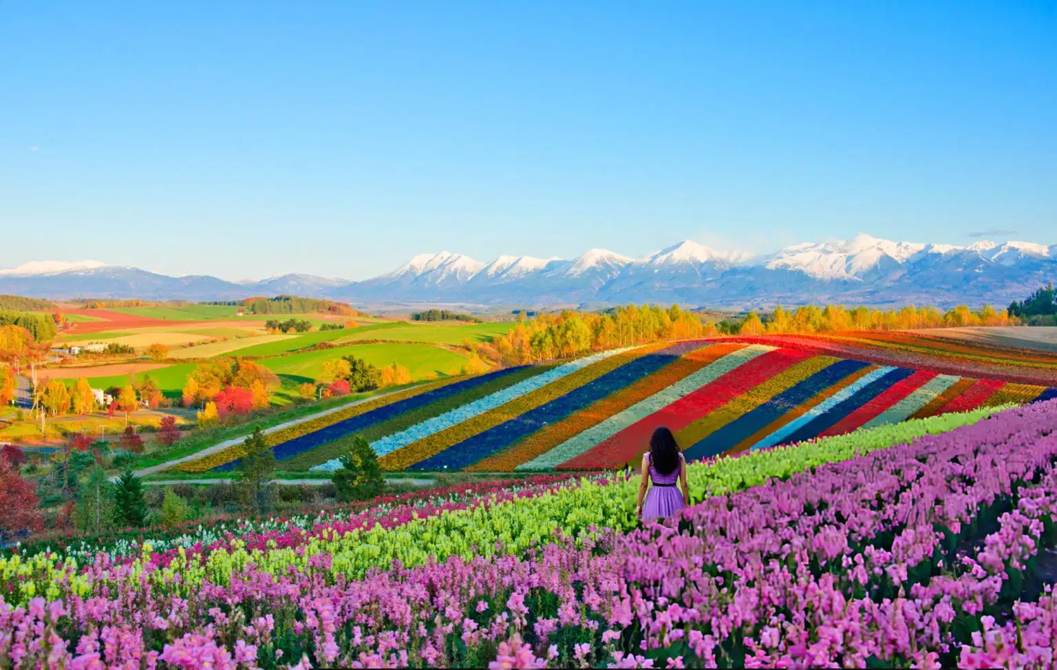 Best of Northern Japan | Exploring Gems of Hokkaido
