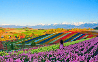 Best of Northern Japan | Exploring Gems of Hokkaido