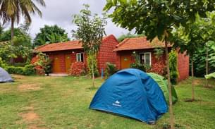 Embark on an unforgettable New Year camping adventure in Kanakapura